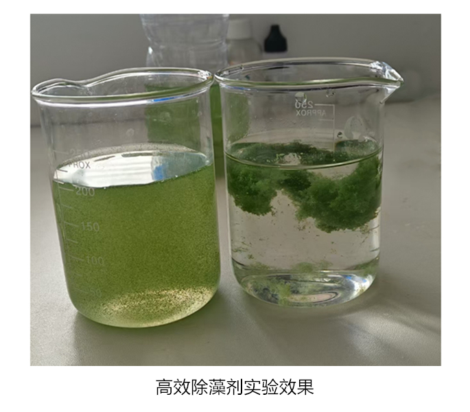 高效除藻剂实验.jpg